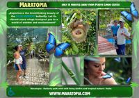 puertolimon, Tripadvisor, costara, schmetterlinge, butterfly, mariposas, park, animals, Caribbean,