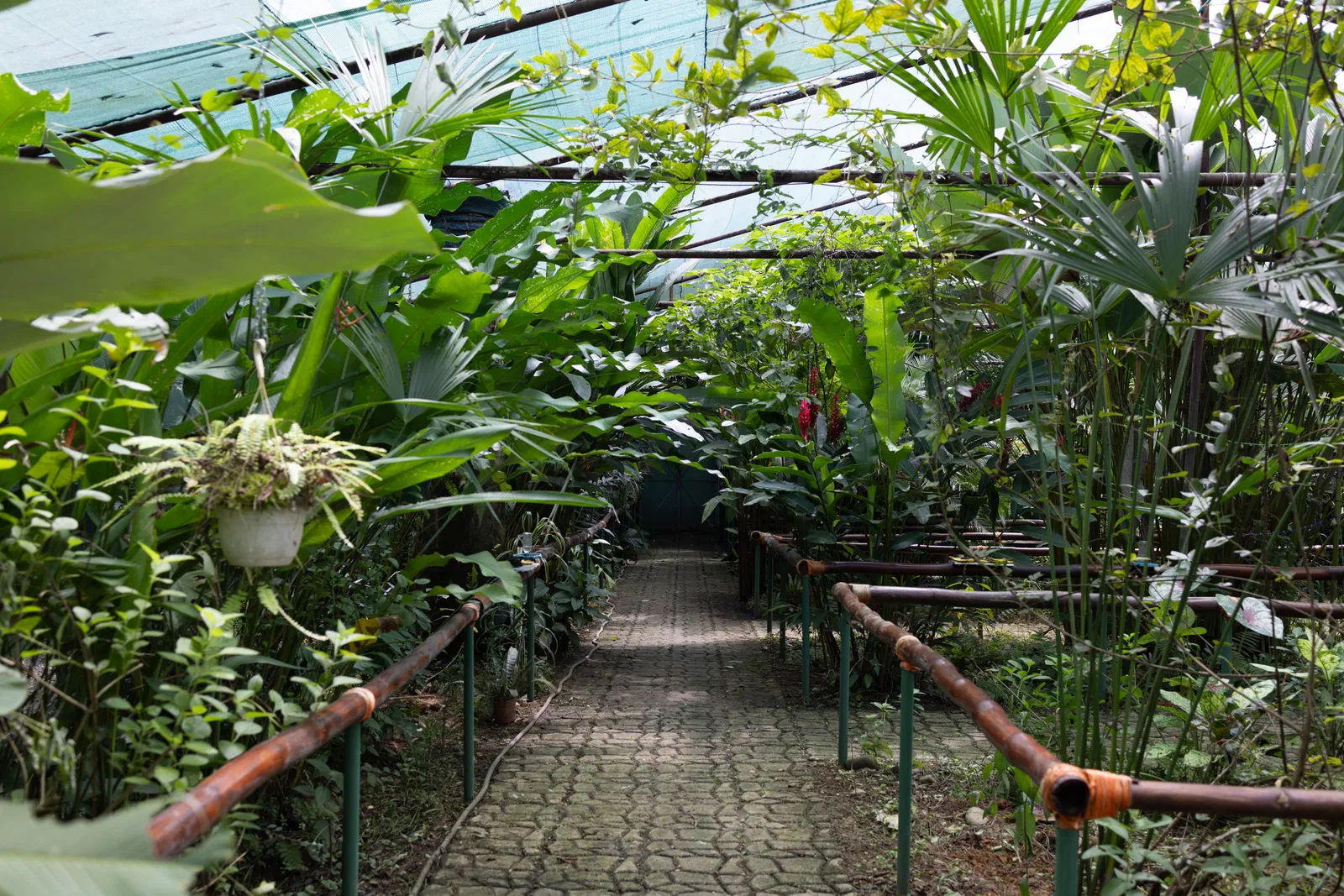 Tropische Pflanzen und Lebensraum im Maratopia-Garten