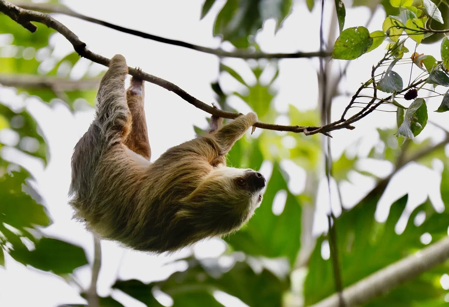 Tropical garden and nature experience at Maratopia